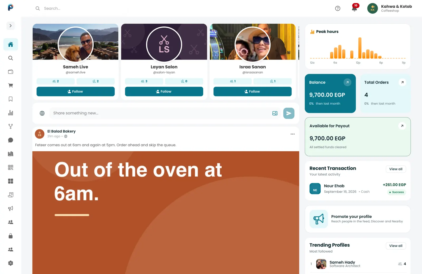 The business dashboard with peak hours, balance and the feed